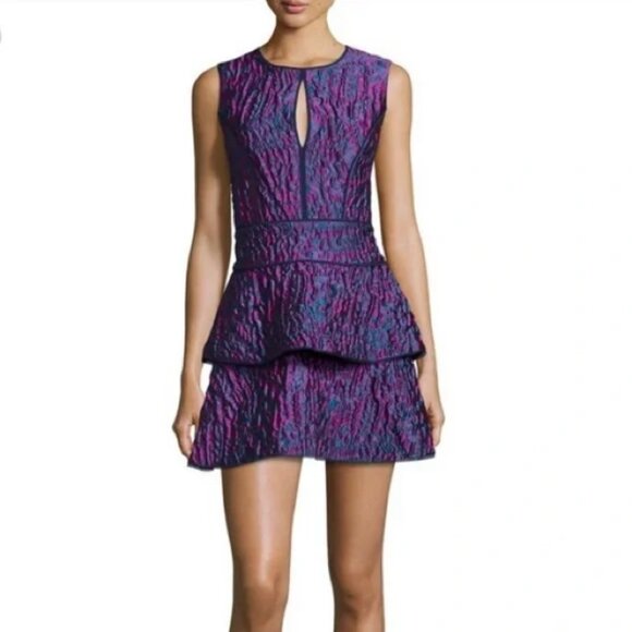 BCBGMaxAzria Joylynn Fit-and-Flare Dress Size 6 - Picture 4 of 12